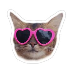 a cat with heart shaped sunglasses on it's face