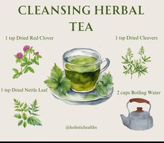 Witchy Recipes, Medicinal Herbs Remedies, Hormone Nutrition, Herbal Education, Herbal Remedies Recipes, Tea Drink Recipes, Witch Core