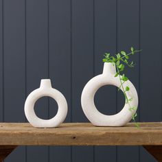 two white vases sitting on top of a wooden table with a plant in them