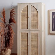 a tall wooden cabinet sitting next to a potted plant