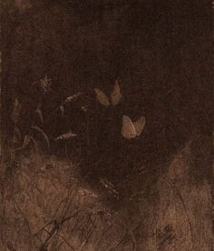 two butterflies flying in the air above some grass and plants on a dark night with light coming from behind them