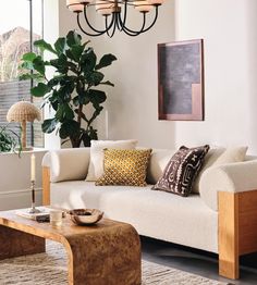 a living room filled with furniture and a large potted plant