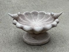 a white bowl with two birds sitting on it's side in the middle of concrete