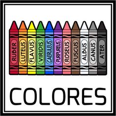 a group of crayons with the words colors on them