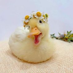 a white duck with daisies on its head