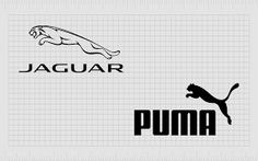 two logos that are on the side of a white sheet with black letters and an image of a cat