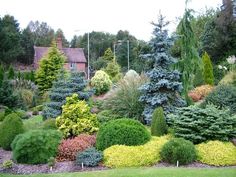 a garden filled with lots of different types of trees and shrubs in front of a house