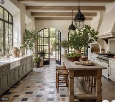 a large kitchen with lots of counter space and potted plants on the table in it