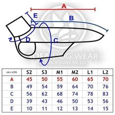 a diagram showing how to measure the length of a shoe