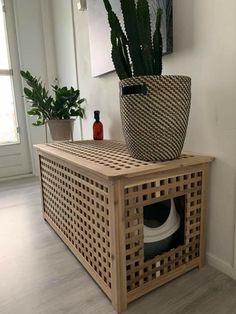 a plant in a basket on top of a wooden shelf next to a potted cactus