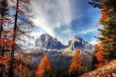 the mountains are covered with trees and orange leaves