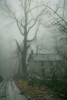 an old house in the fog with a tree on the side and no leaves around it