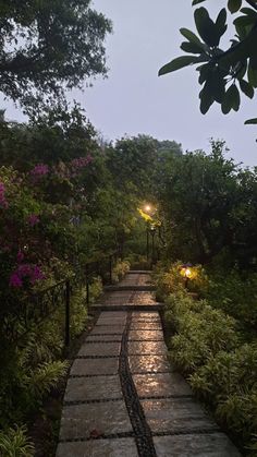 rainy garden Calm Place Aesthetic, Peace Wallpaper Nature, Brie Core, Graceful Photography, Fotografi Vintage, Night Scenery