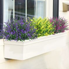 a window box filled with purple and yellow flowers