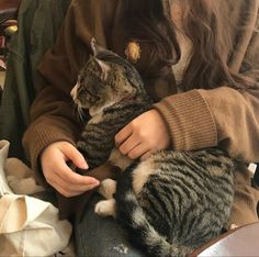 a woman is petting a cat while sitting on her lap and holding it in her hands