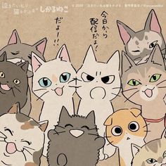 a group of cats standing next to each other on top of a brown paper background