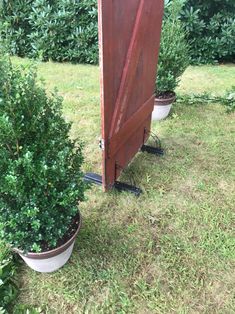 two potted plants sitting next to each other in front of an open door on the grass