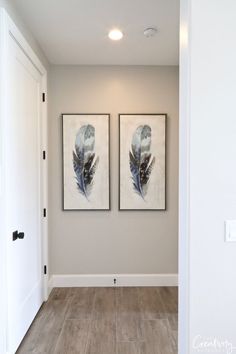 two framed pictures hang on the wall in a hallway with wood floors and white walls