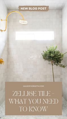 a white tiled bathroom with a tree in the corner and text overlay that reads zeligie tile what you need to know