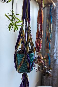 several plants hanging from hooks in a room