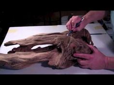 a person cutting wood with scissors on top of a piece of driftwood that has been cut into smaller pieces