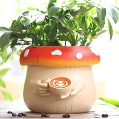 a plant in a mushroom shaped pot with coffee beans around it