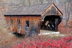 an old wooden covered bridge in the middle of some trees and bushes with red berries