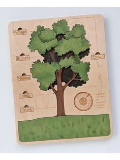 a wooden puzzle depicting the parts of a tree