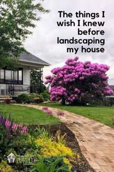 the things i wish i knew before landscaping my house