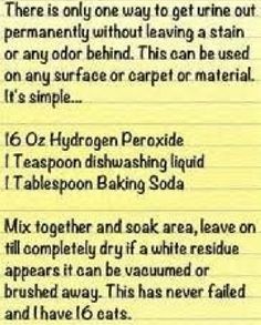 a piece of paper with some writing on it that says, there is only one way to get urine out permanently without leaving a stain or any odor behind