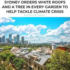 sydney orders white roofs and a tree in every garden to help tackle climate crisis