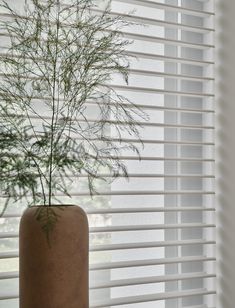 a plant in a vase sitting on a window sill next to blinds with the blinds closed