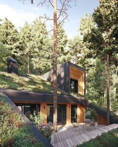 an artist's rendering of a house in the woods with stairs leading up to it