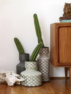 three different vases with plants in them on a shelf next to a wooden cabinet