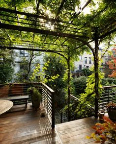 an outdoor patio with trees and plants on it