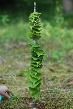 a young child playing with a green plant in the grass near a tree trunk that is shaped like a spiral