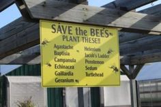 a yellow sign that says save the bees plant these on it's back side