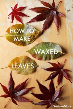 leaves with the words how to make waxed leaves