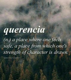 the words querencia in front of a forest with fog and trees on it