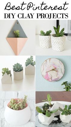 the best diy clay projects for home decor, including succulents and potted plants