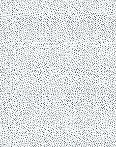 a black and white dotted background with small dots in the center, as well as smaller dots