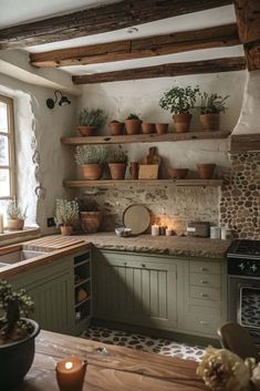 a kitchen filled with lots of potted plants next to a stove top oven under a window