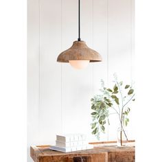 a wooden table topped with a plant and a light hanging from it's side