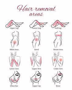 Hair Removal Areas Poster - formatted for 8x10 photo Alex Brush Script Brush Script, Life Hacks For School, 8x10 Photo, Hair Removal, Life Hacks, Printed Items, Skin Care, Digital Prints, Models