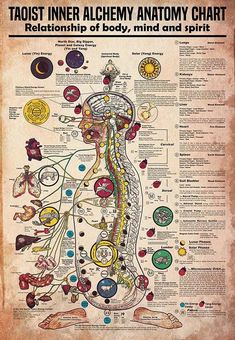 Inner Alchemy, Anatomy Chart, Pod Cast, Ancient Knowledge, Decoration Room, Chakra Meditation, Decoration Home