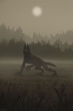 a black wolf running across a grass covered field in front of a forest at night