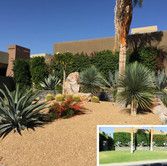 a desert garden with palm trees and rocks