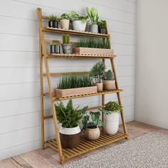 a wooden shelf filled with potted plants on top of a carpeted floor next to a white wall