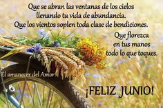 a bicycle with flowers on the front wheel and spanish words above it that read, feliz juno