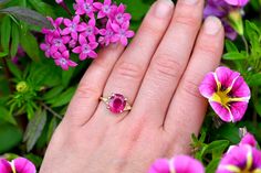 This exquisite Raspberry Rubellite Tourmaline and 14K Gold Ring boasts a captivating, natural pink and magenta gemstone at its center, adorned by eight VS G+ diamonds for extra radiance and placed on a resilient 14K yellow gold band. With its unparalleled durability, this ring is an excellent selection for an individualized and significant engagement ring. Ring and Gemstone Info: ♦️Metal: 14K Yellow Gold ♦️Size: 7 🔹Natural Rubellite Tourmaline: 3.74 cts (10.84 x 9.45mm) 🔸Natural Diamonds: (8 t Pink Oval Multi-stone Ruby Ring, Pink Ruby Ring With Gemstone Accents, Pink Ruby Ring With Gemstone Accents For Anniversary, Pink Oval Ruby Ring With Gemstone Accents, Rubellite Tourmaline, Jewelry Bracelets Gold, Opal Ring Gold, Gold Jewelry Earrings, Opal Bracelet